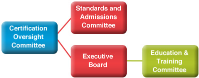 The EACTP Committee Structure